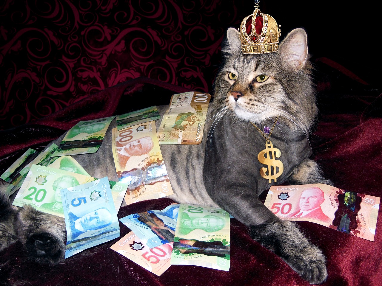ついに月収100万円プレーヤーが出ました
